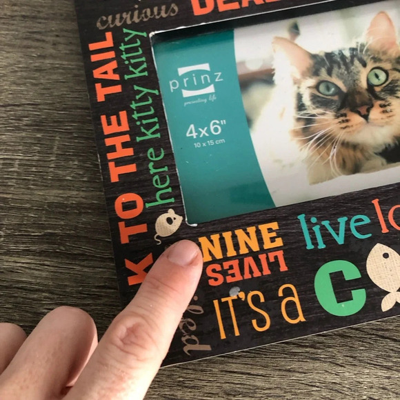 Cat Picture Frame - Picture 9 of 10